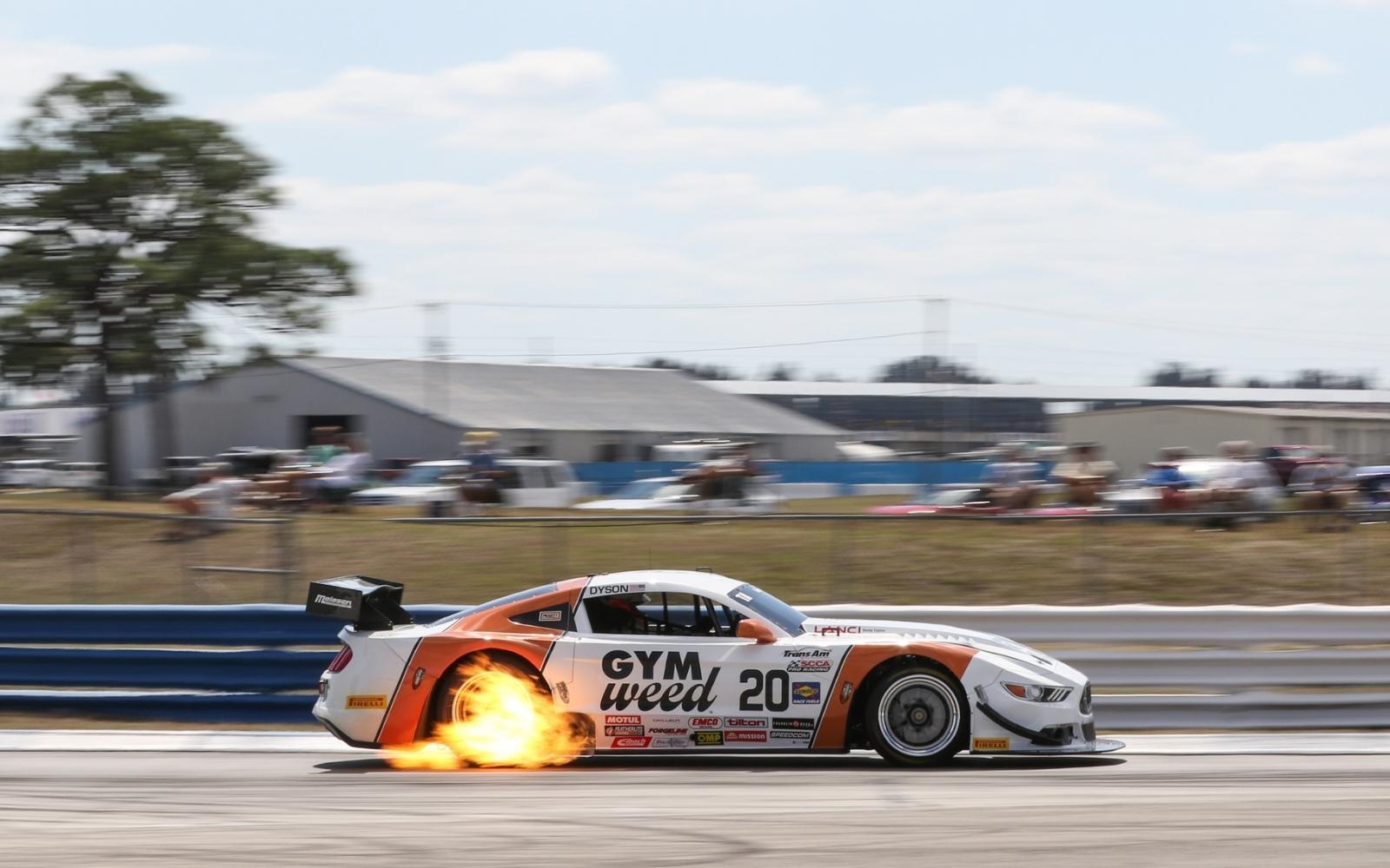 GYM WEED Partners with SpeedTour